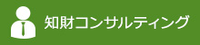 知財コンサルティング